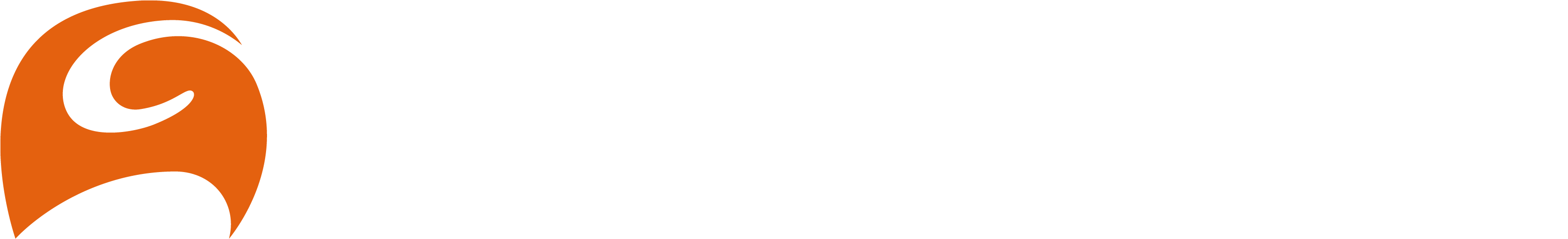 ARCADIS Logo